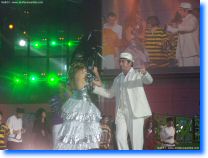 les-enfoires-2009-032.jpg